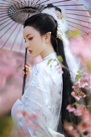 2019秋霞理论福利视频