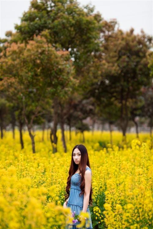 萱萱的技能培训课程