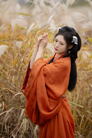 杨颖演的电影