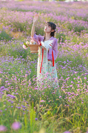 麻花传媒沈芯语主演视频大全