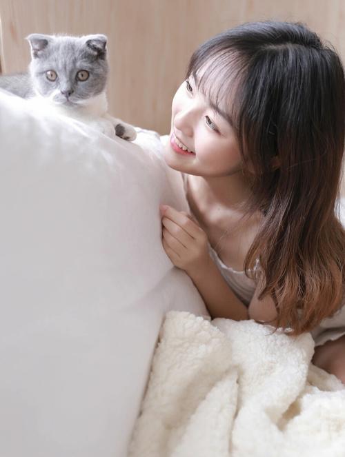 爱情没有神话电视剧免费观看